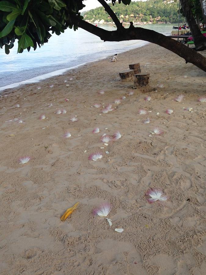 Grand Beach Resort Ko Tao Esterno foto